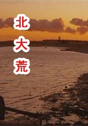 久久伊人精品